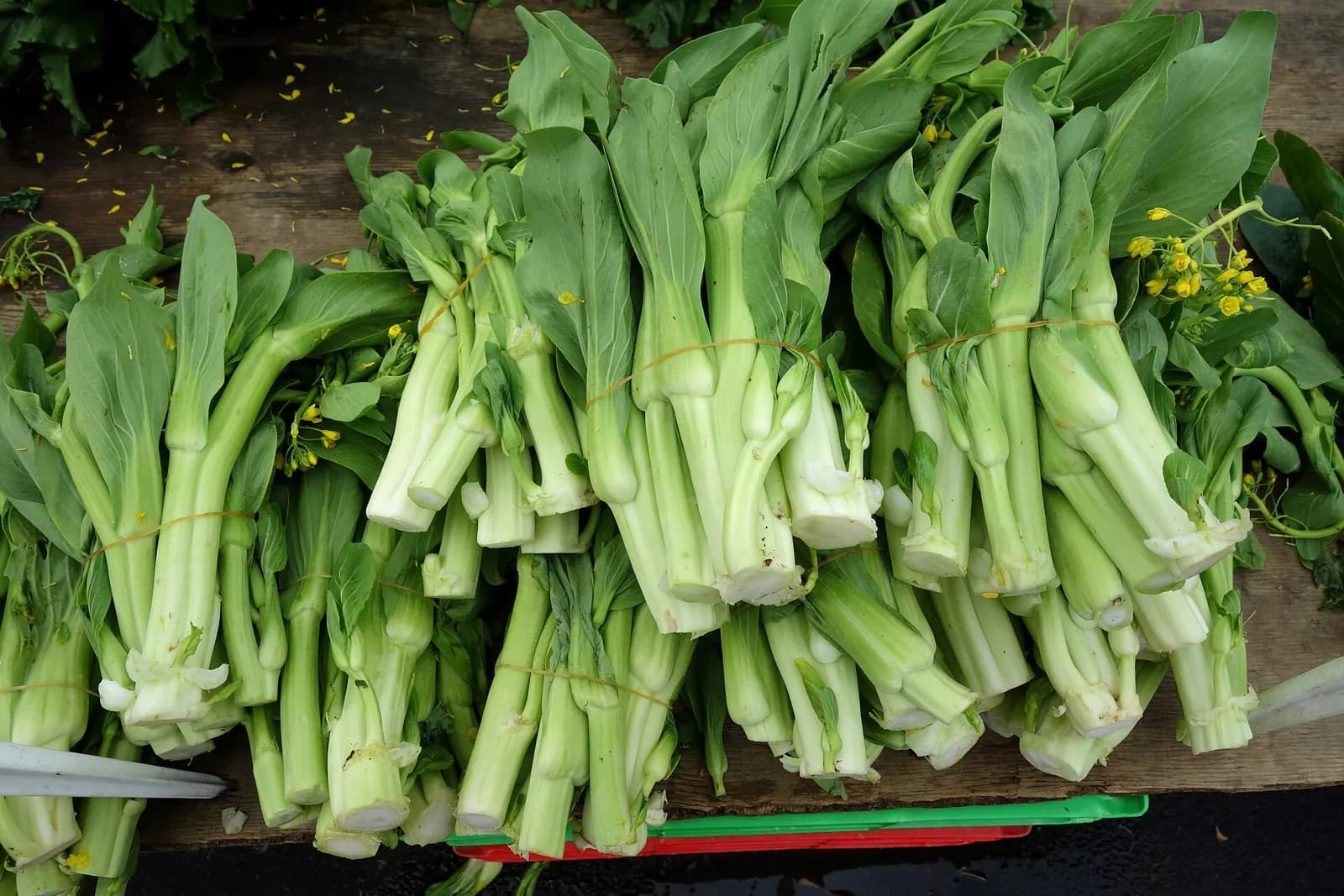 Bunches of bok choy