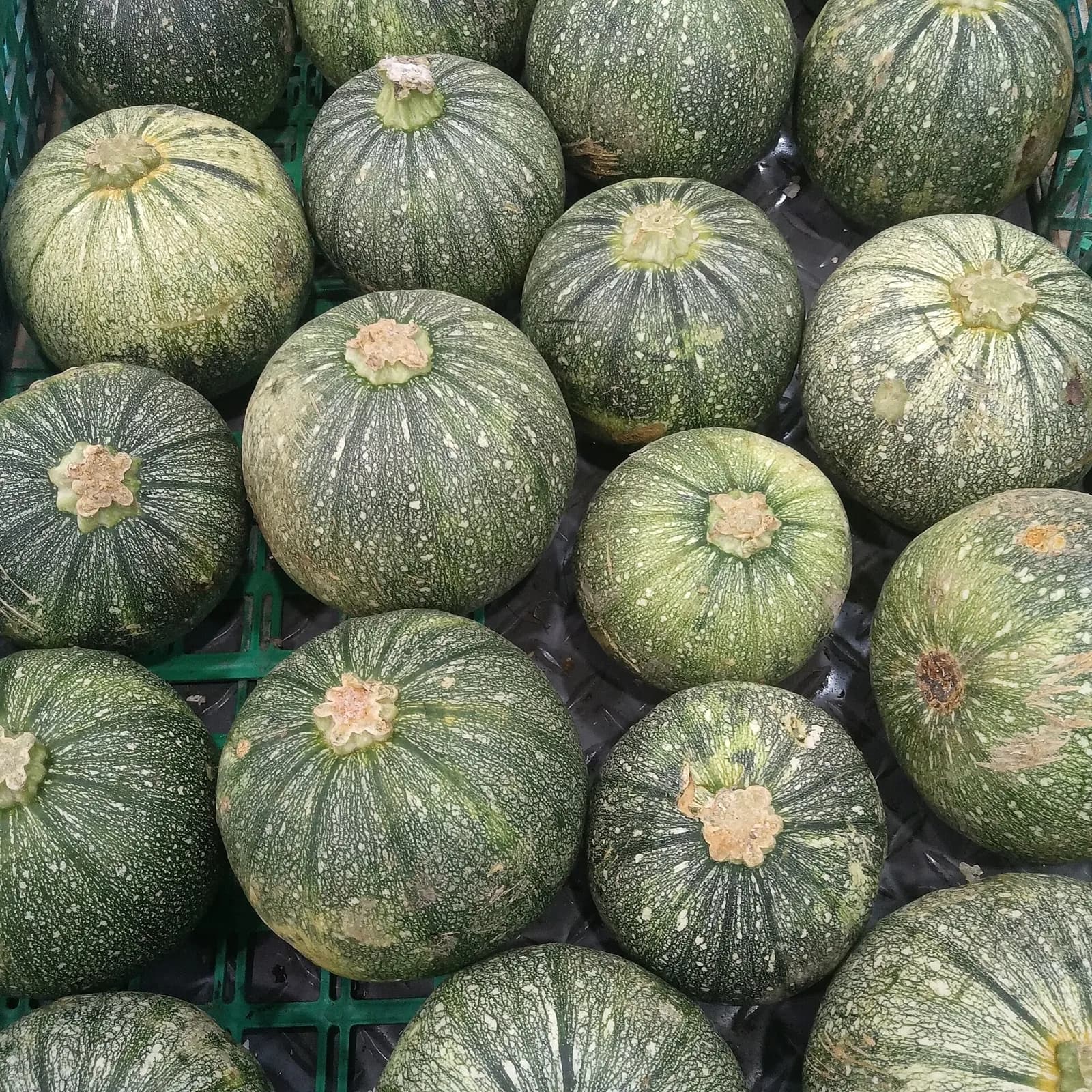 A stack of green-skinned pumpkins