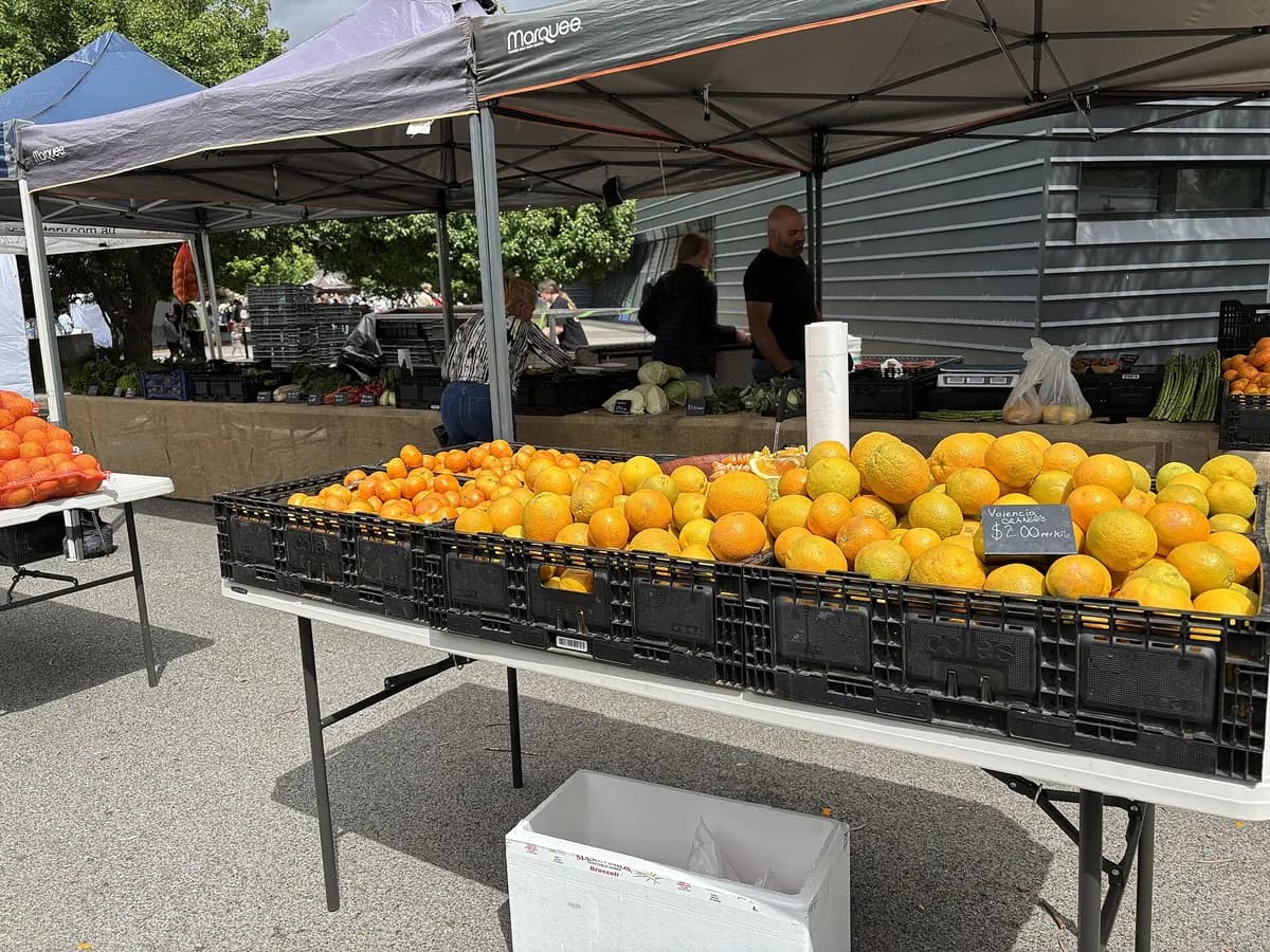 Crates of oranges and fresh produce on a market stall