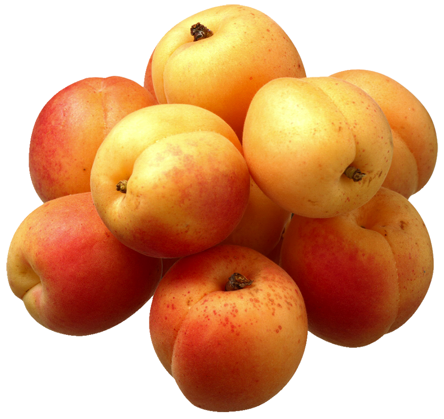 Apricots