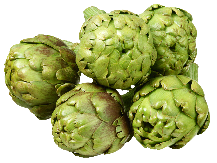Artichoke