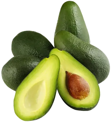 Avocado