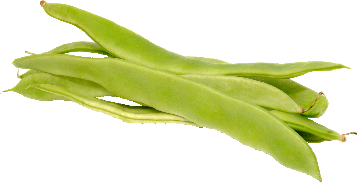 Beans  Flat