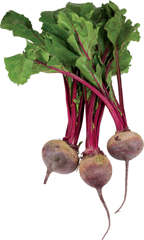 Beetroot