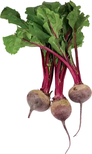 Beetroot