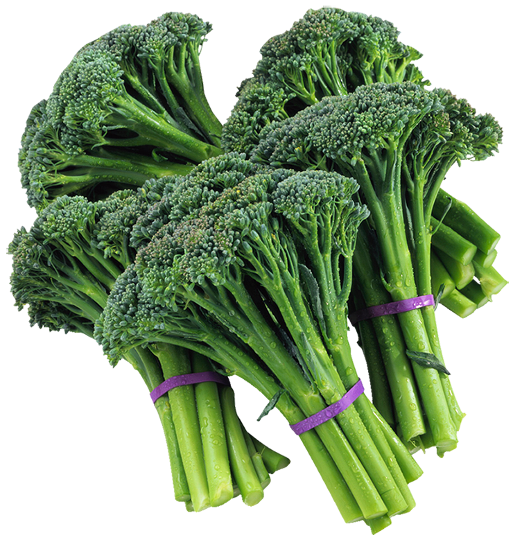 Broccolini
