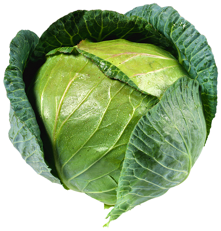 Cabbage Green