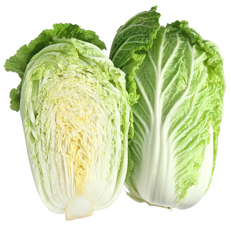 Cabbage Chinese