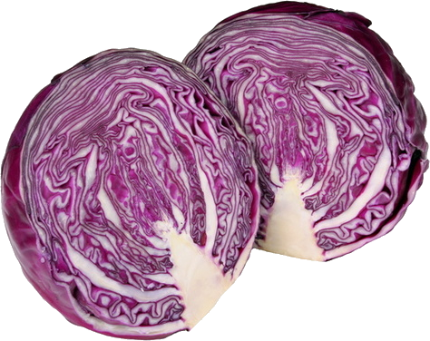 Cabbage Red