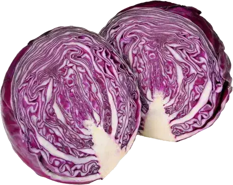 Cabbage Red