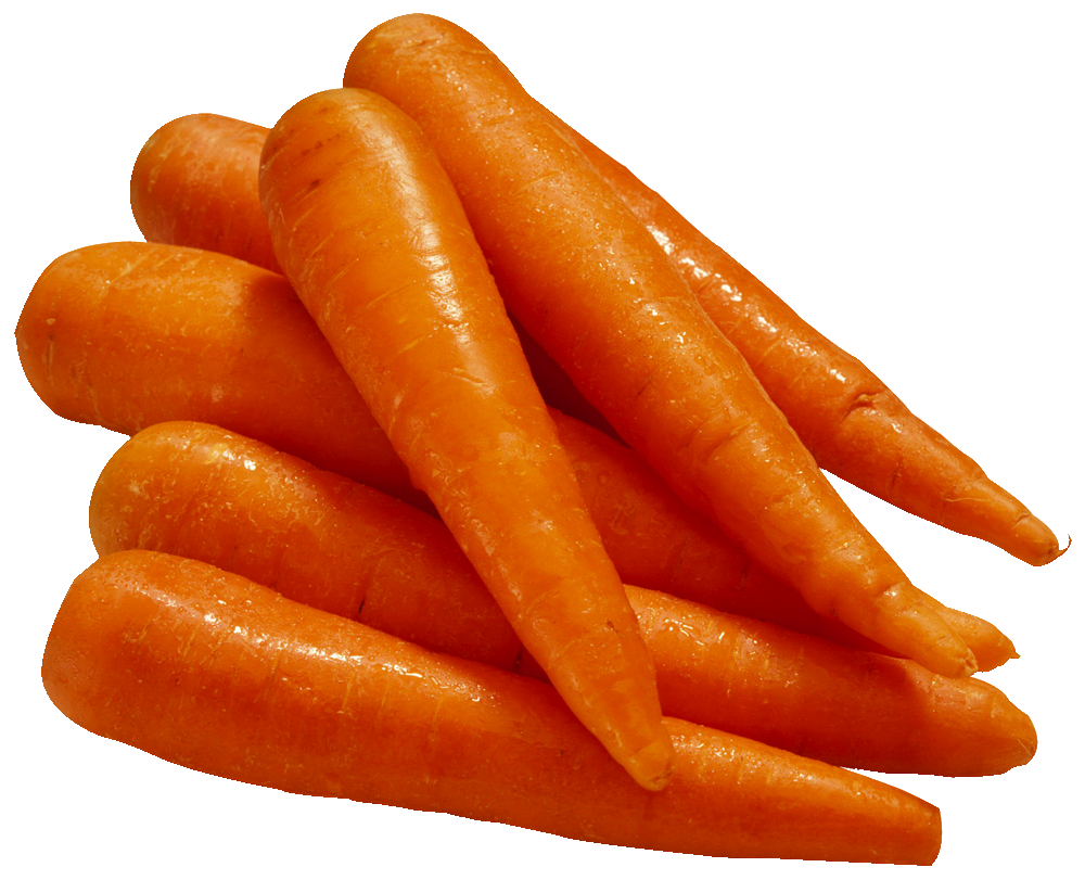 Carrot