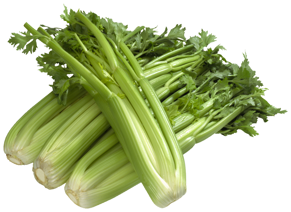 Celery
