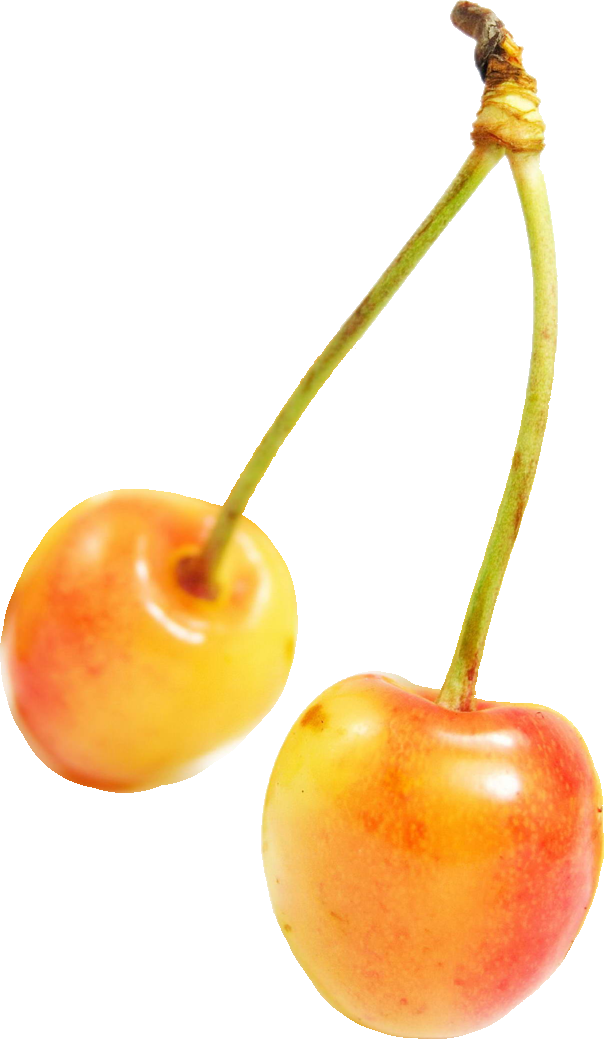 Necterines White