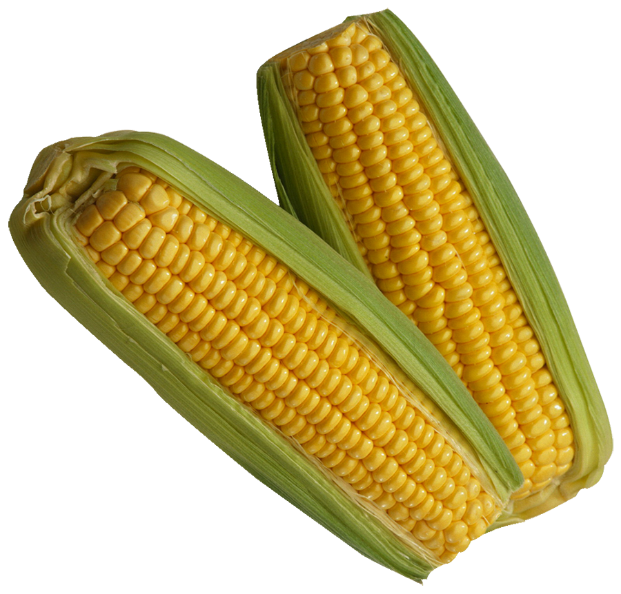 Corn Sweet