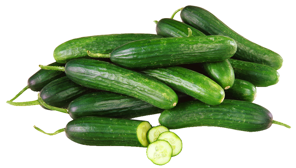 Cucumber Lebanese