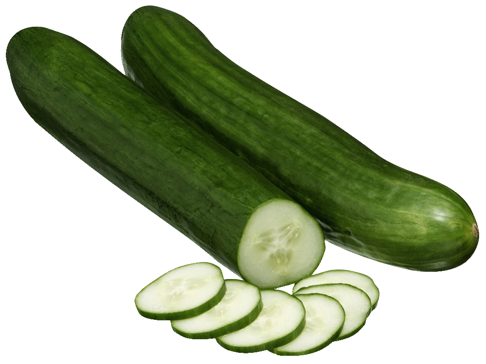 Continental Cucumeber
