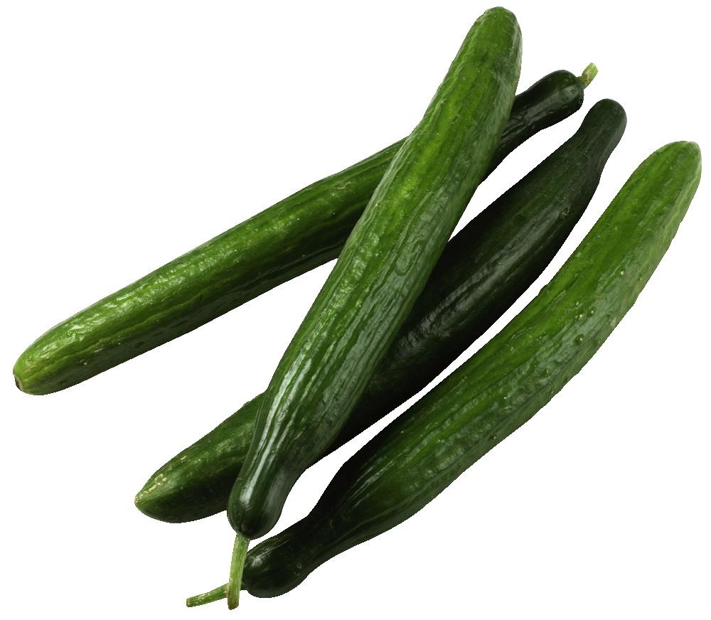 Cucumber Continental/Burpless