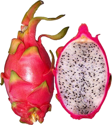 Dragon Fruit