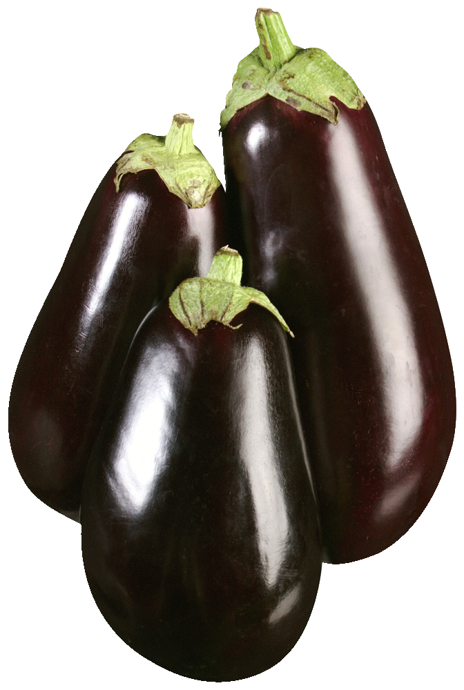 Eggplant Baby