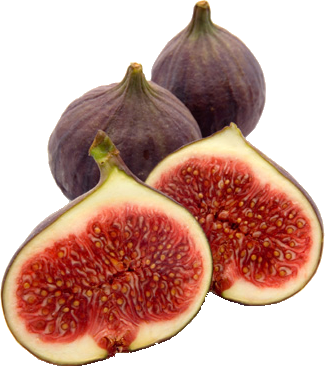 Figs Green / Black