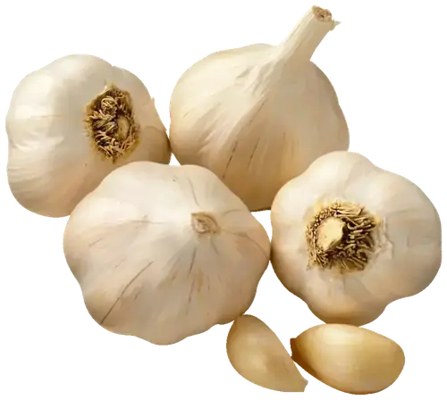 Garlic Peeled
