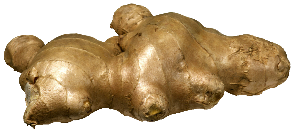 Ginger