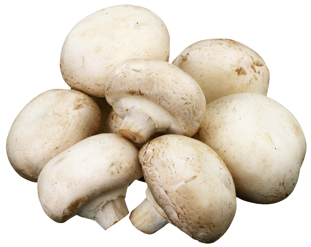 Mushroom