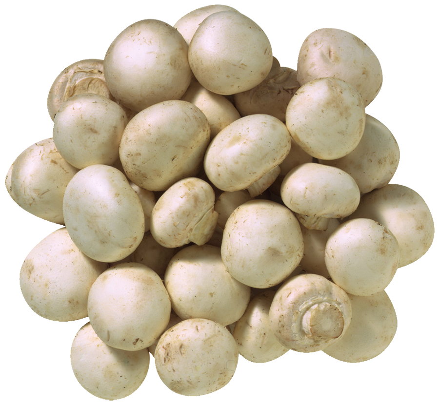 Mushrooms Button White