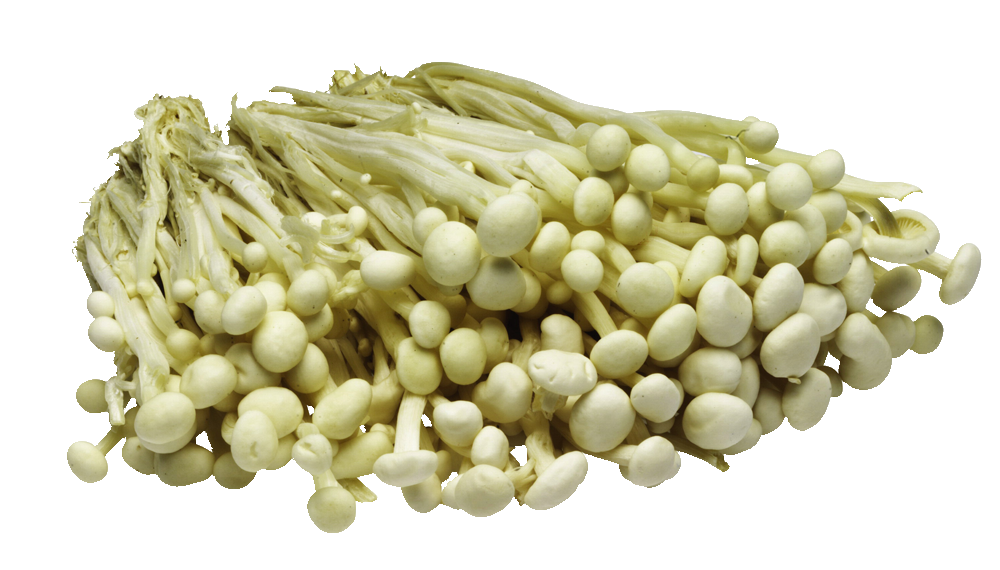 Mushroom Enoki