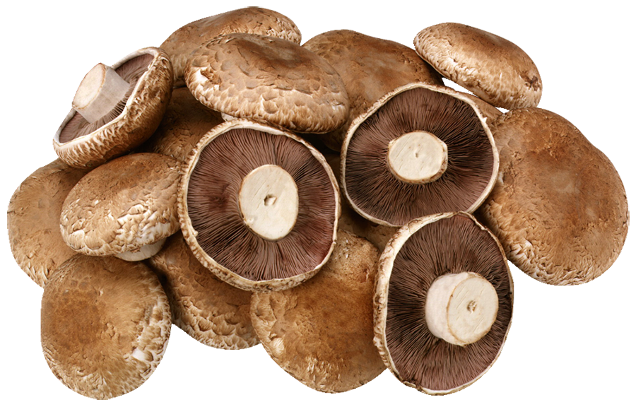 Mushrooms Swiss Brown Portabello