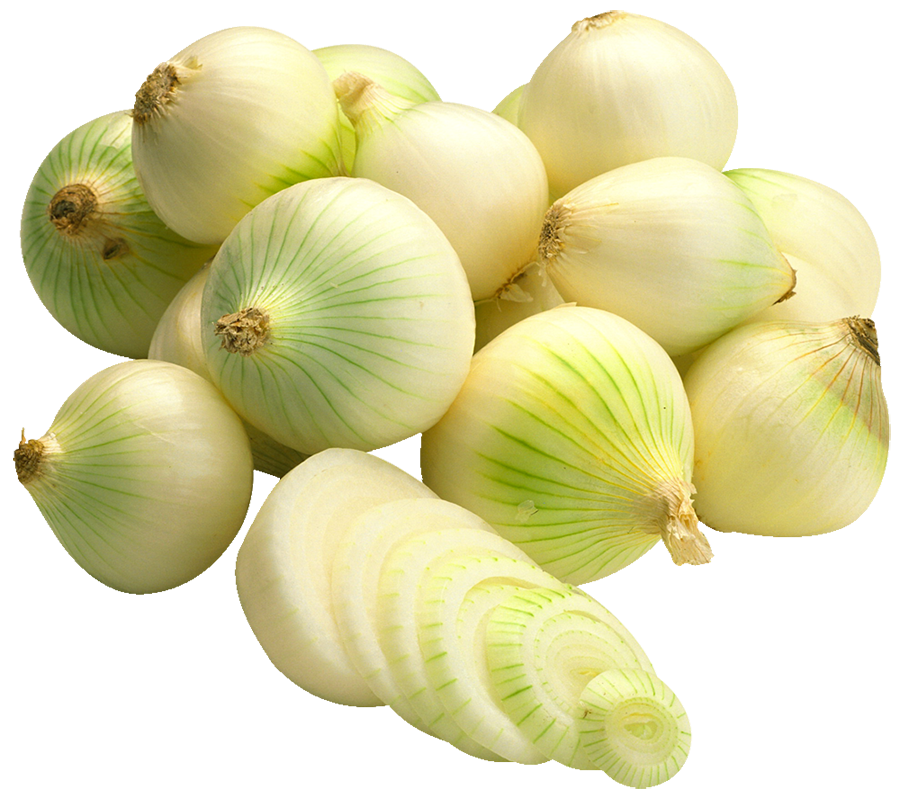 Onion Spring
