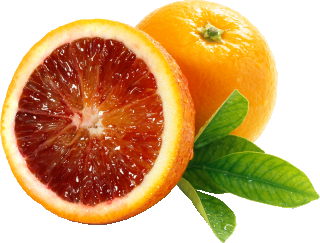 Oranges Blood