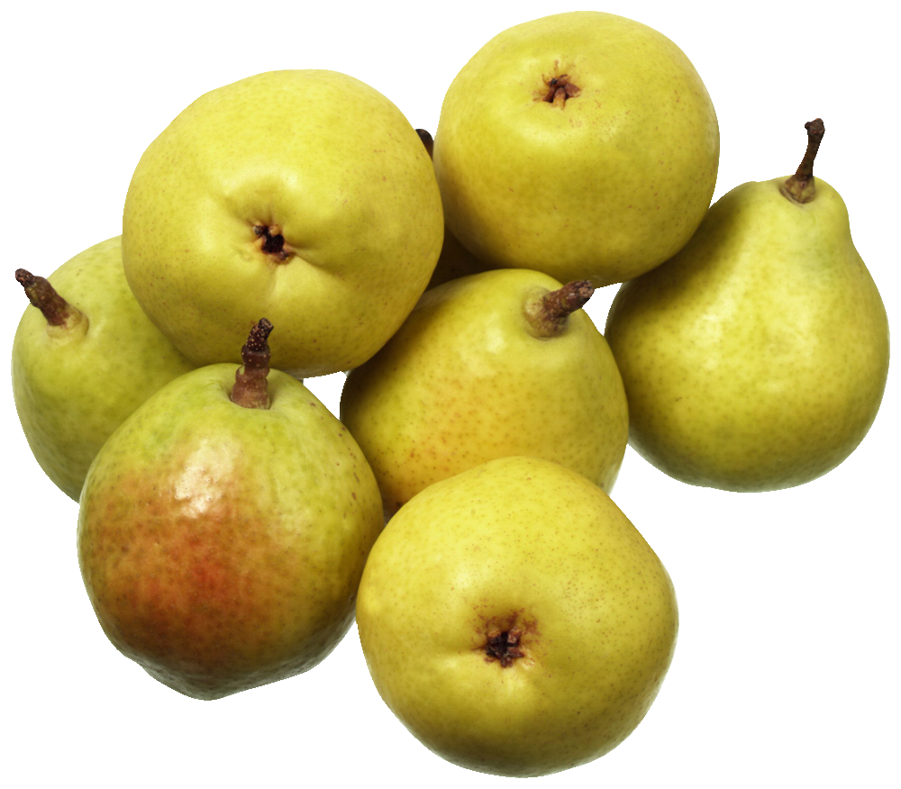 Pears Bosc