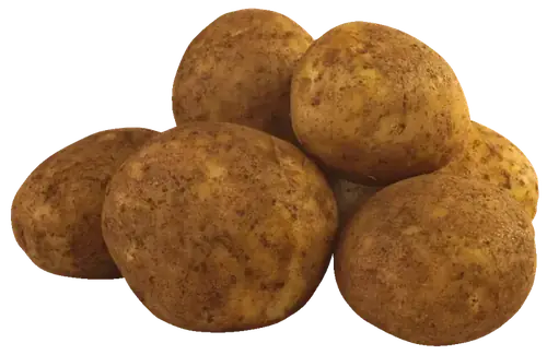 Potato mini