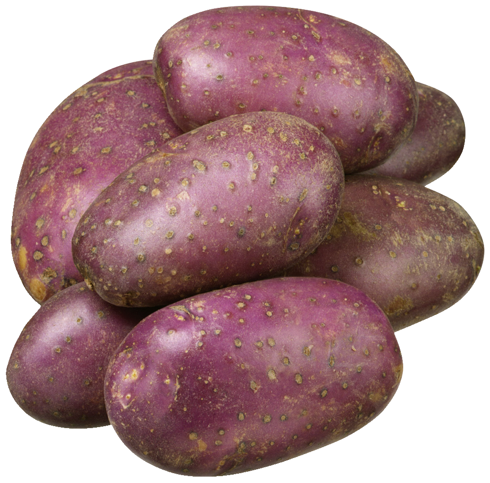 Potatoes Royal Blue
