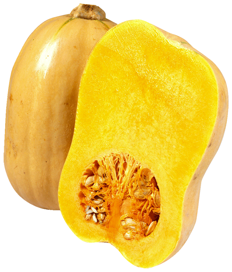 Pumpkin Butternut
