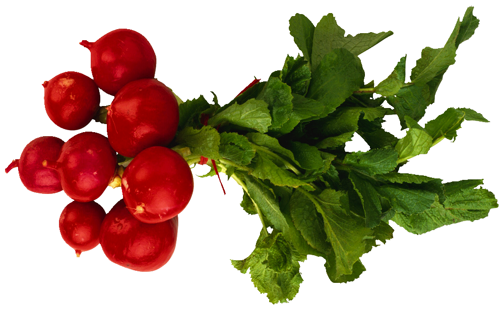 Radish Red