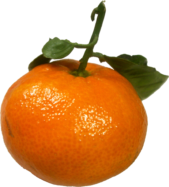 Mandarines