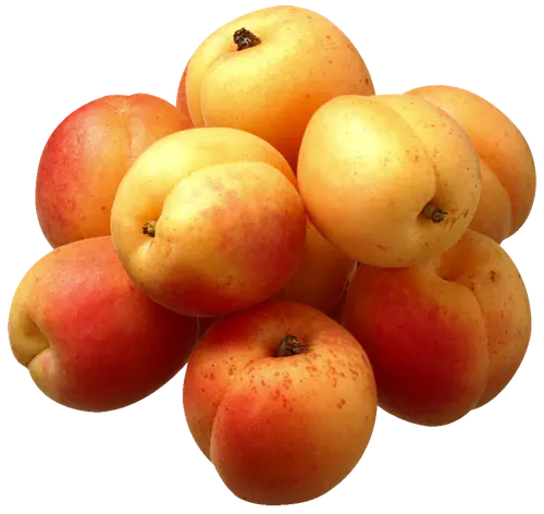 Apricots