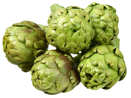 Artichoke