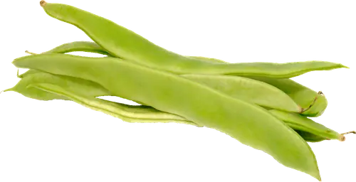 Beans  Flat