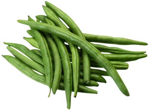 Bean Stringless