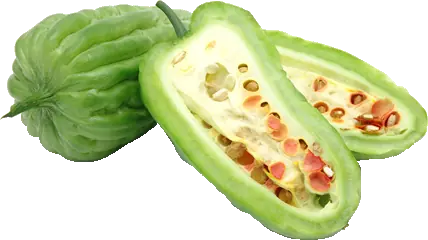Bitter Melon