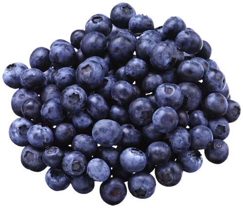 Blueberry Jumbo Size Only