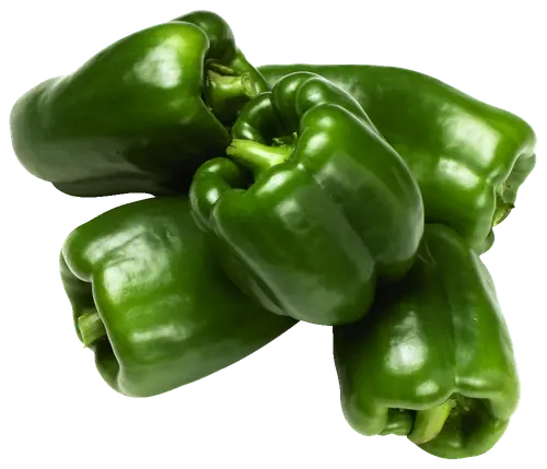 Capsicum