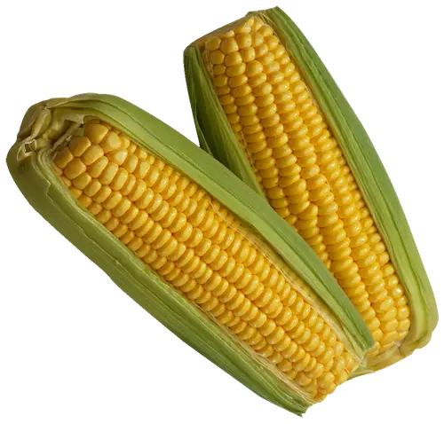 Corn