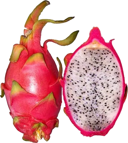 Dragon Fruit