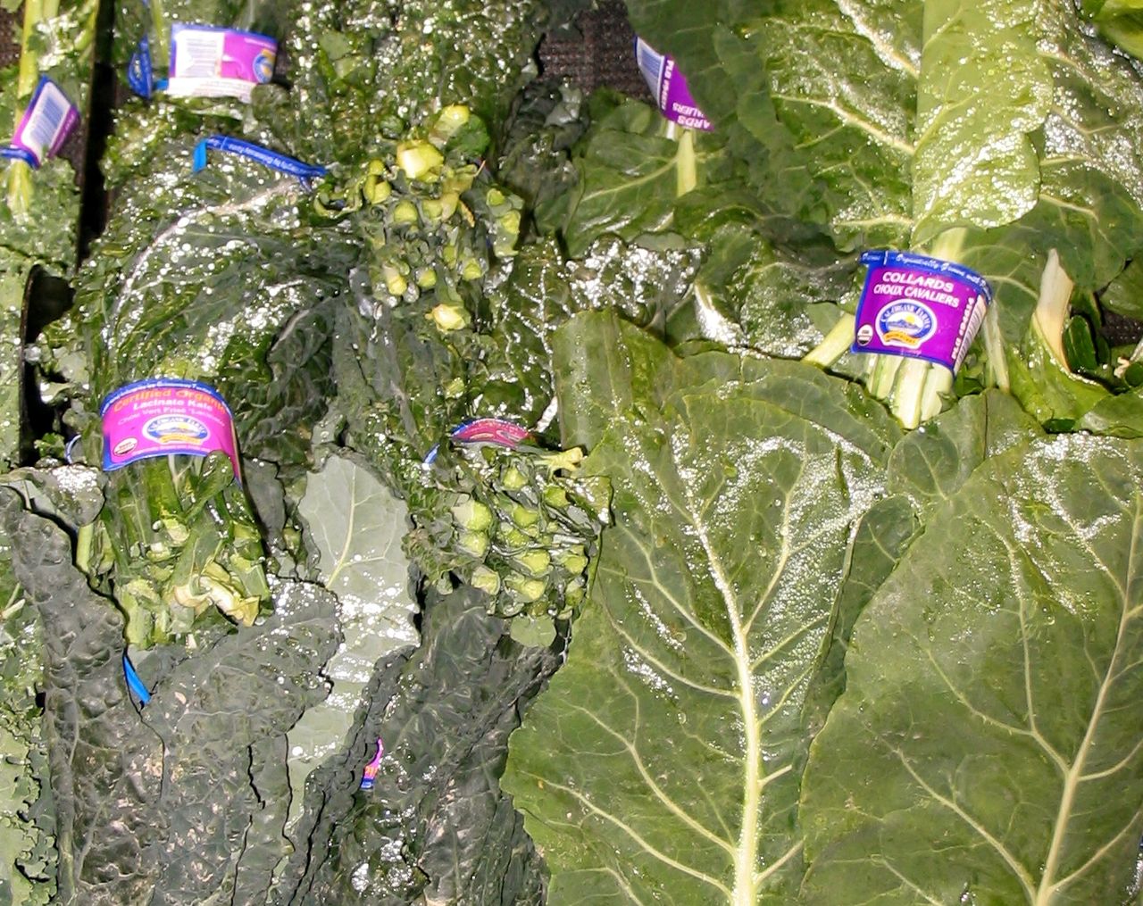 Tuscan Kale